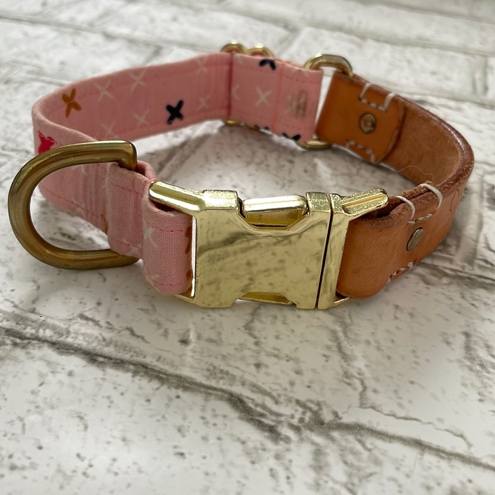 Custom Dog Collar